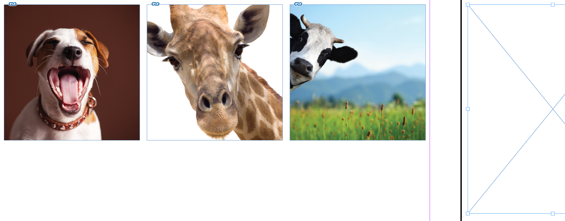 Screen Shot 2019-02-13 at 6.23.44 PM.png